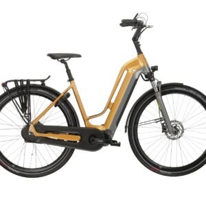 Multicycle Voyage emi Gold