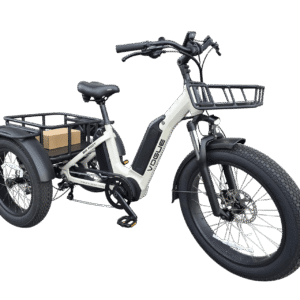 NIEUW Vogue Big foot Elektrische driewieler 3-wieler 2x accu